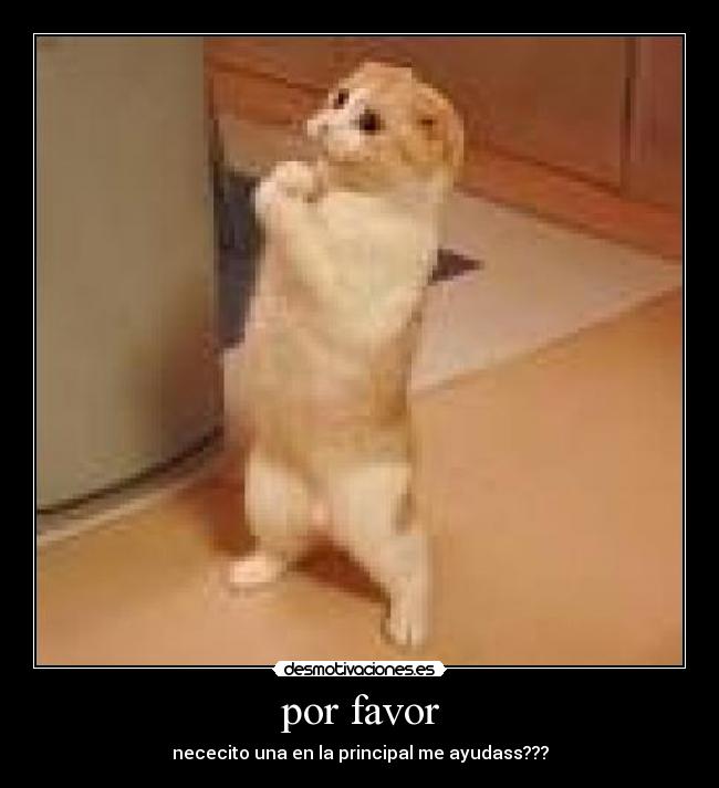 por favor - nececito una en la principal me ayudass???