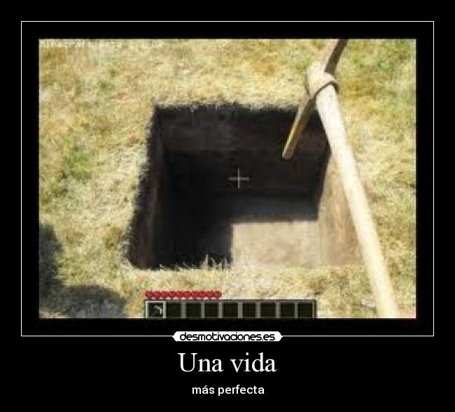 Una vida - más perfecta
