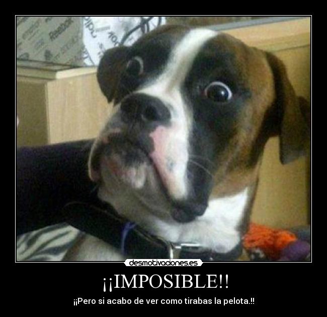 ¡¡IMPOSIBLE!! - ¡¡Pero si acabo de ver como tirabas la pelota.!!