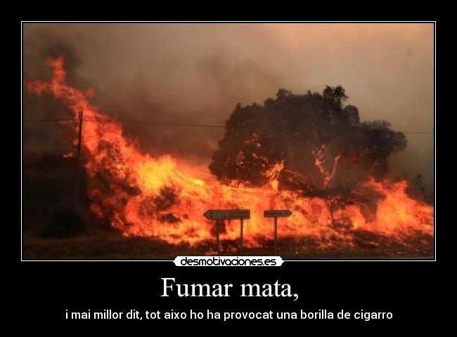 Fumar mata, - 