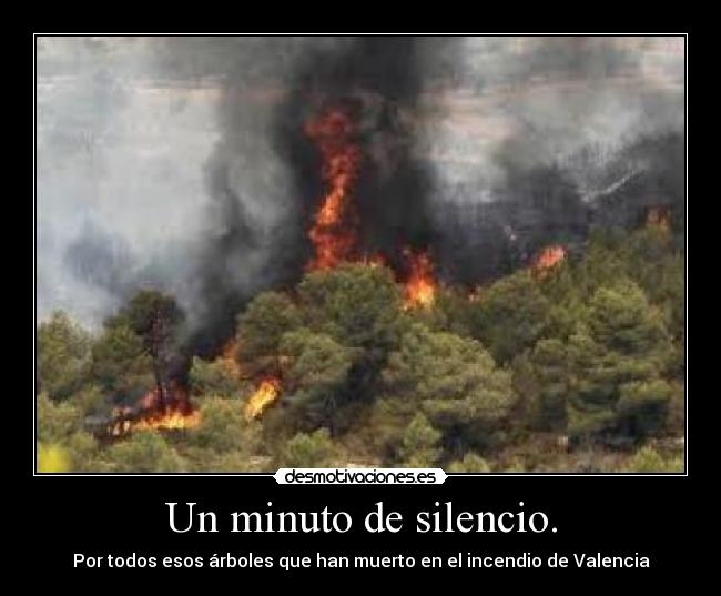 Un minuto de silencio. - Por todos esos árboles que han muerto en el incendio de Valencia