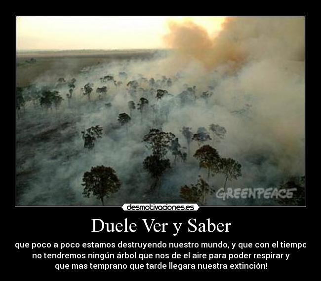 Duele Ver y Saber - que poco a poco estamos destruyendo nuestro mundo, y que con el tiempo
no tendremos ningún árbol que nos de el aire para poder respirar y
que mas temprano que tarde llegara nuestra extinción!