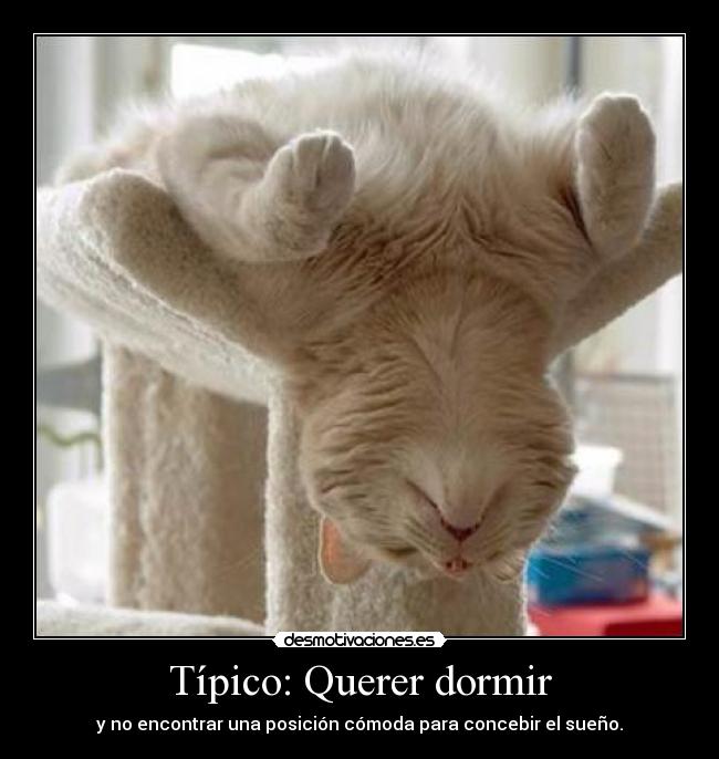 Típico: Querer dormir -