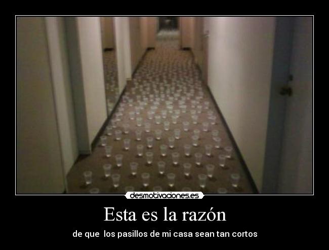 Esta es la razón - de que los pasillos de mi casa sean tan cortos