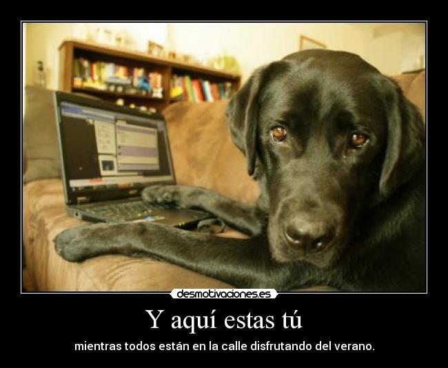 carteles enganchado desmotivaciones