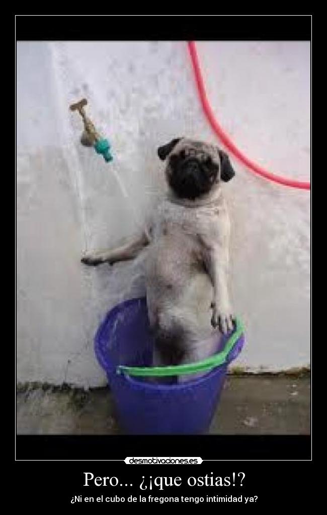 Pero... ¿¡que ostias!? -