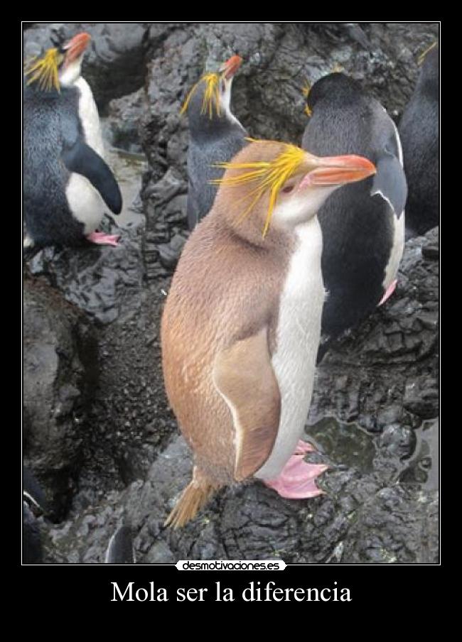 Mola ser la diferencia -