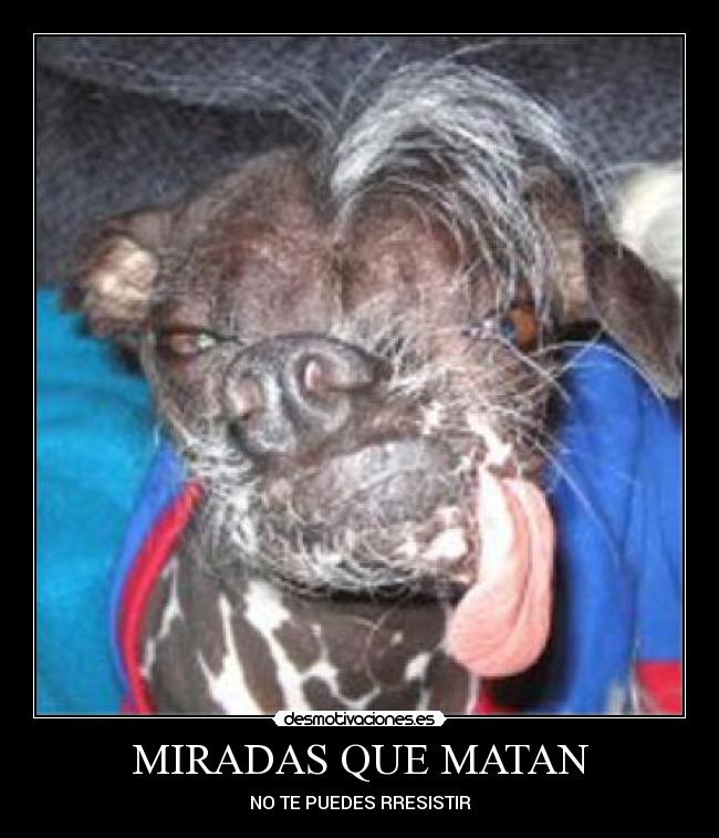 Imágenes y Carteles de ITON | Desmotivaciones