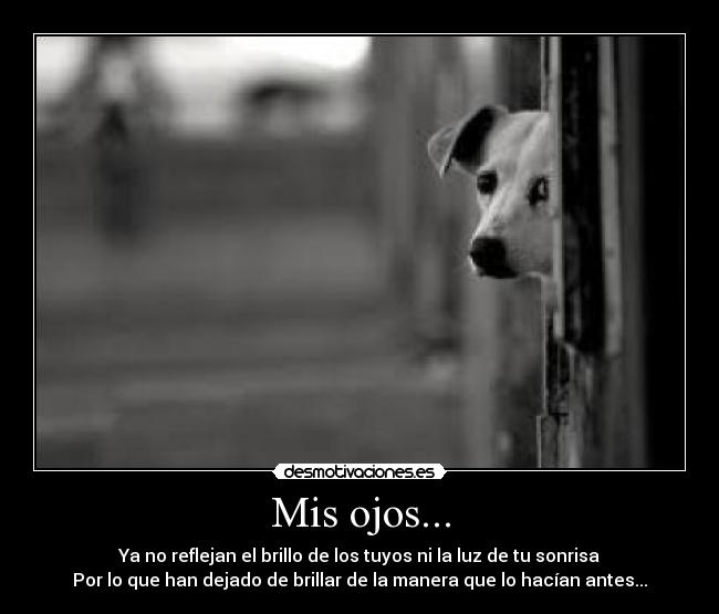 Mis ojos... - Ya no reflejan el brillo de los tuyos ni la luz de tu sonrisa
Por lo que han dejado de brillar de la manera que lo hacían antes...