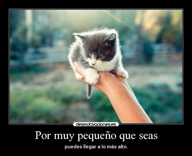 Por muy pequeño que seas - puedes llegar a lo más alto.