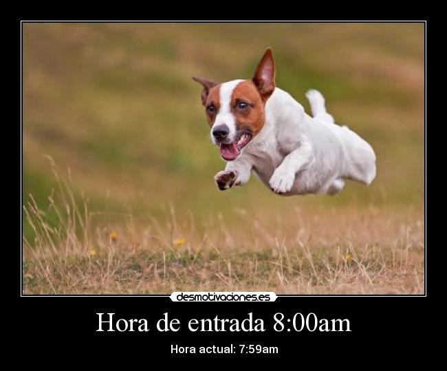 Hora de entrada 8:00am - Hora actual: 7:59am