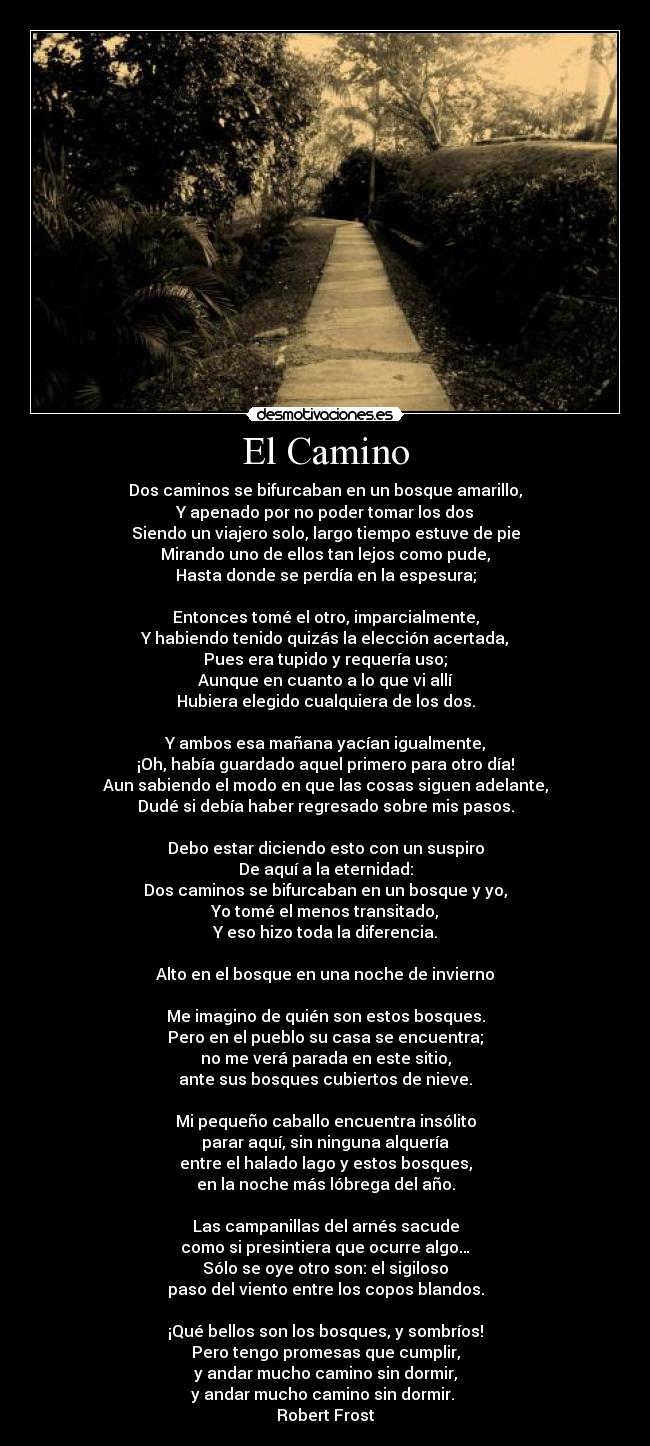 El Camino - Dos caminos se bifurcaban en un bosque amarillo,
Y apenado por no poder tomar los dos
Siendo un viajero solo, largo tiempo estuve de pie
Mirando uno de ellos tan lejos como pude,
Hasta donde se perdía en la espesura;
Entonces tomé el otro, imparcialmente,
Y habiendo tenido quizás la elección acertada,
Pues era tupido y requería uso;
Aunque en cuanto a lo que vi allí
Hubiera elegido cualquiera de los dos.
Y ambos esa mañana yacían igualmente,
¡Oh, había guardado aquel primero para otro día!
Aun sabiendo el modo en que las cosas siguen adelante,
Dudé si debía haber regresado sobre mis pasos.
Debo estar diciendo esto con un suspiro
De aquí a la eternidad:
Dos caminos se bifurcaban en un bosque y yo,
Yo tomé el menos transitado,
Y eso hizo toda la diferencia.
Alto en el bosque en una noche de invierno
Me imagino de quién son estos bosques.
Pero en el pueblo su casa se encuentra;
no me verá parada en este sitio,
ante sus bosques cubiertos de nieve.
Mi pequeño caballo encuentra insólito
parar aquí, sin ninguna alquería
entre el halado lago y estos bosques,
en la noche más lóbrega del año.
Las campanillas del arnés sacude
como si presintiera que ocurre algo…
Sólo se oye otro son: el sigiloso
paso del viento entre los copos blandos.
¡Qué bellos son los bosques, y sombríos!
Pero tengo promesas que cumplir,
y andar mucho camino sin dormir,
y andar mucho camino sin dormir.
Robert Frost