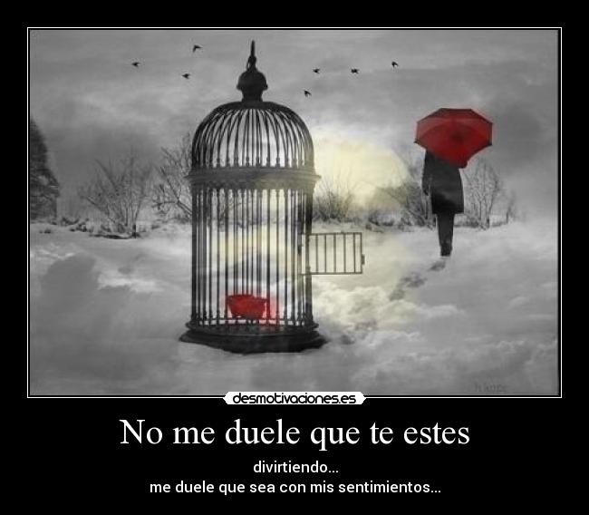 No me duele que te estes -