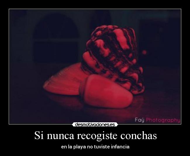 Si nunca recogiste conchas -