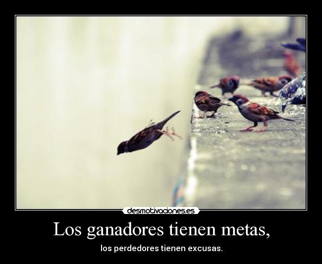 Los ganadores tienen metas, -