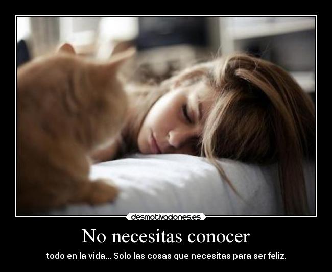 No necesitas conocer - todo en la vida... Solo las cosas que necesitas para ser feliz.