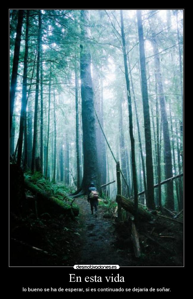 carteles vida thelittleprincces follow the sky desmotivaciones