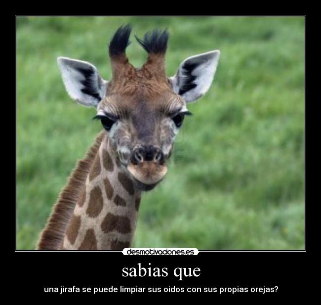 carteles reflexiona desmotivaciones