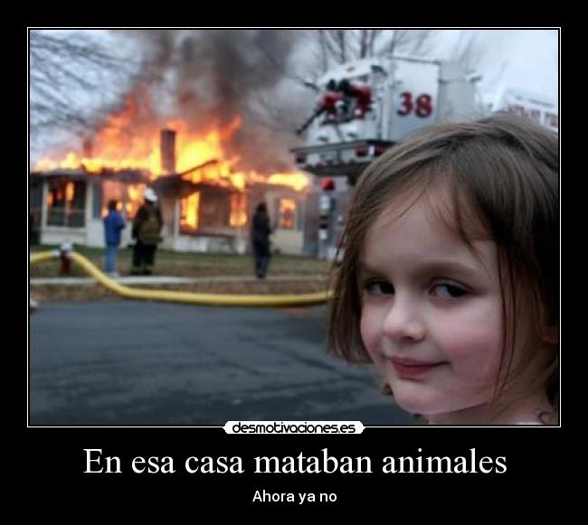 carteles casa animales noalmaltratoanimal borradoo desmotivaciones