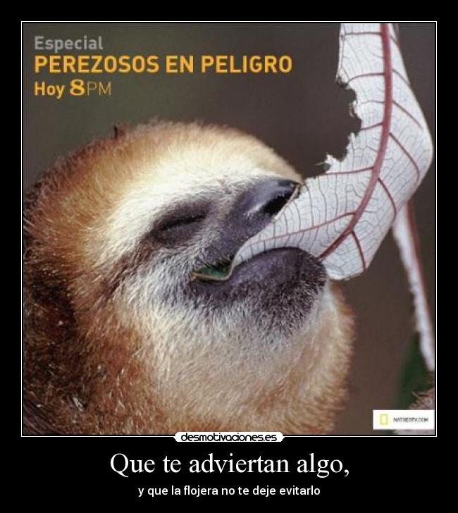 Que te adviertan algo, - y que la flojera no te deje evitarlo