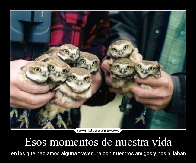 Esos momentos de nuestra vida - en los que hacíamos alguna travesura con nuestros amigos y nos pillaban