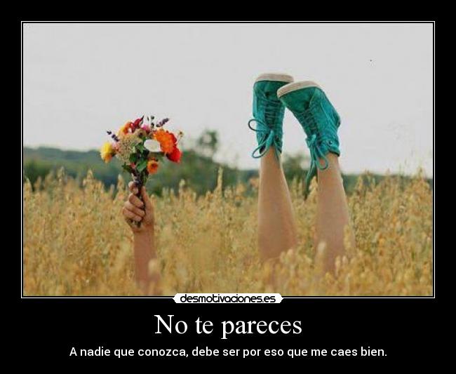 No te pareces - A nadie que conozca, debe ser por eso que me caes bien.