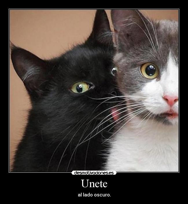 Unete -