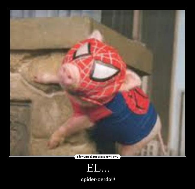 EL... - spider-cerdo!!!