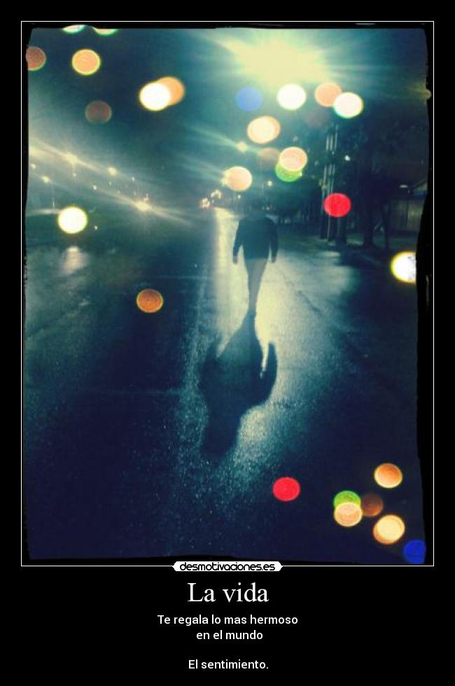 carteles vida vida regalo desmotivaciones