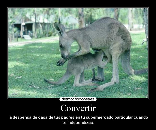 Convertir -