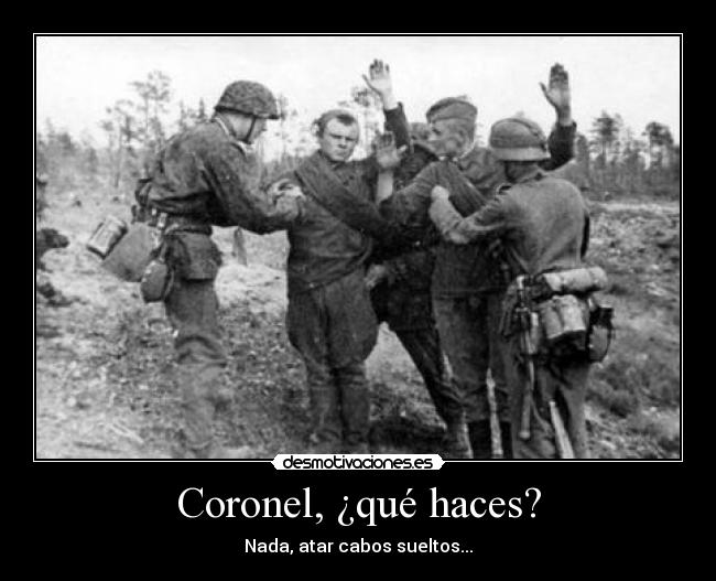 Coronel, ¿qué haces? - Nada, atar cabos sueltos...