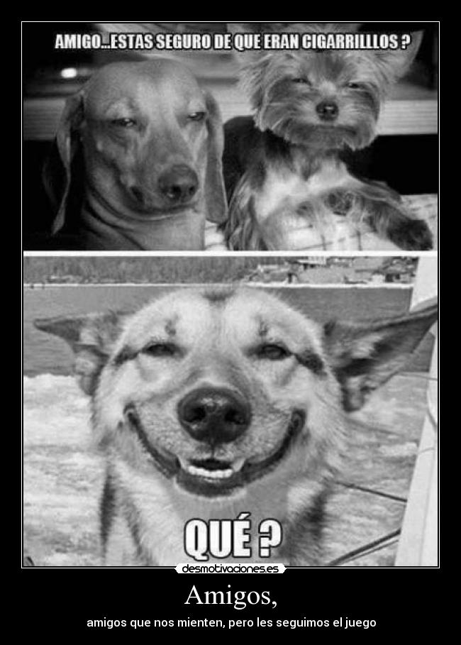 Amigos, - amigos que nos mienten, pero les seguimos el juego