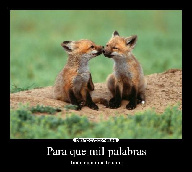 Para que mil palabras - 