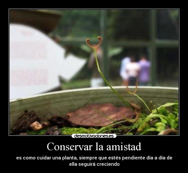 Conservar la amistad -