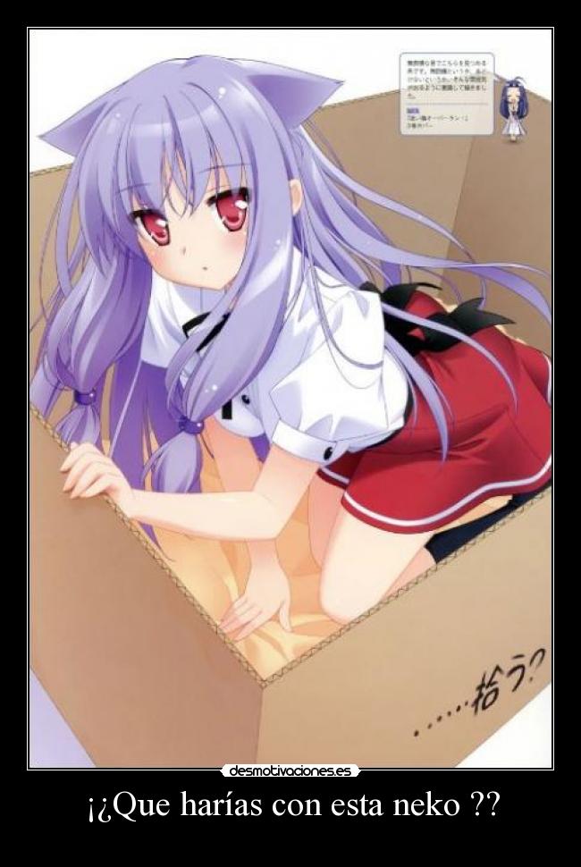 ¡¿Que harías con esta neko ?? -
