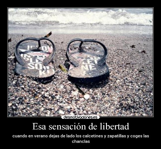 carteles libertad idihdiifsidfsgfugv desmotivaciones