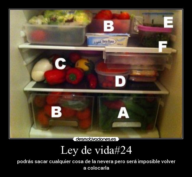 Ley de vida#24 - podrás sacar cualquier cosa de la nevera pero será imposible volver a colocarla