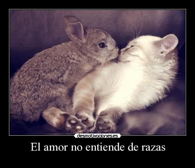 carteles amor sssshhh desmotivaciones