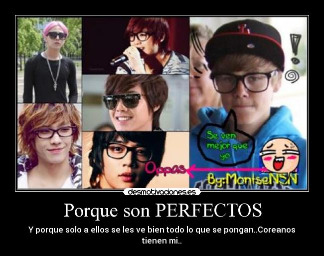 Porque son PERFECTOS - 
