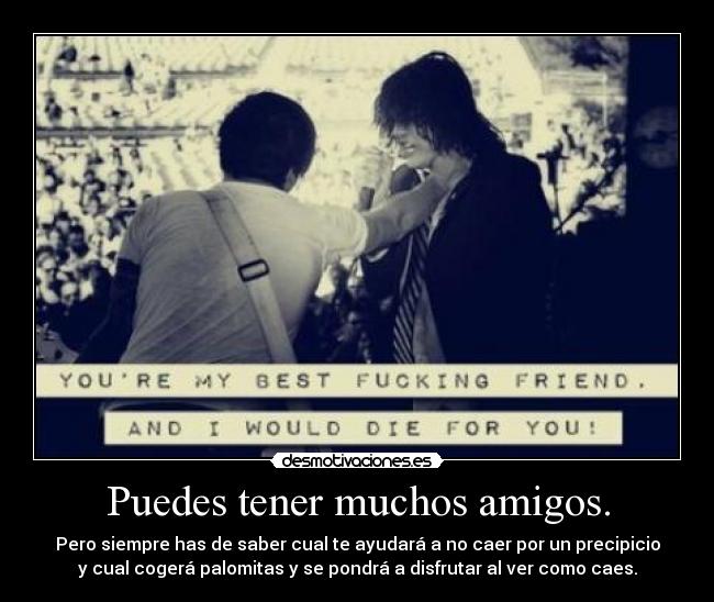 Puedes tener muchos amigos. - Pero siempre has de saber cual te ayudará a no caer por un precipicio
y cual cogerá palomitas y se pondrá a disfrutar al ver como caes.