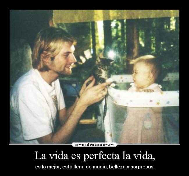 La vida es perfecta la vida, -