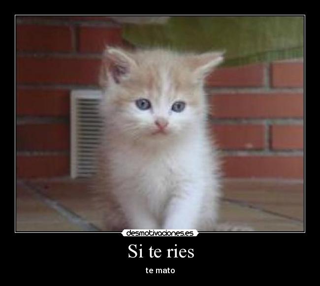 Si te ries - 