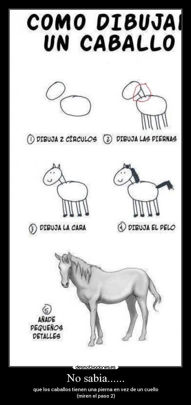 No sabia...... - que los caballos tienen una pierna en vez de un cuello
(miren el paso 2)