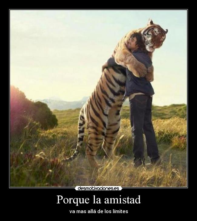 Porque la amistad - 