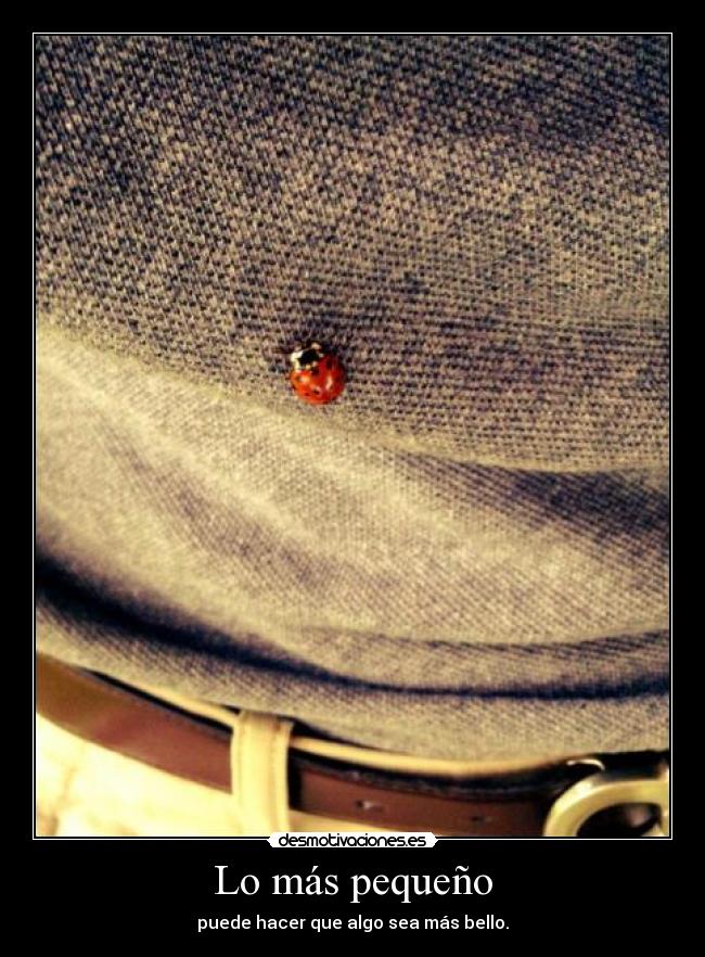 Lo más pequeño - 