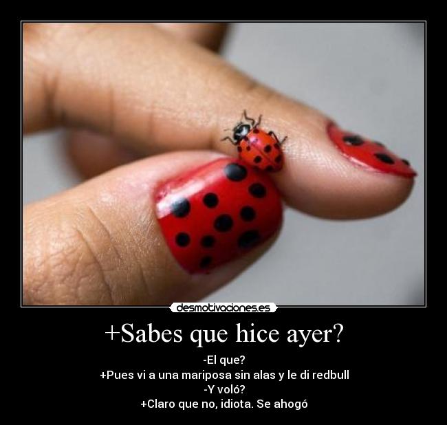 +Sabes que hice ayer? - -El que?
+Pues vi a una mariposa sin alas y le di redbull
-Y voló?
+Claro que no, idiota. Se ahogó