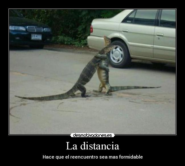 La distancia - Hace que el reencuentro sea mas formidable