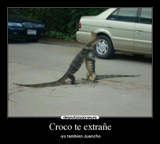 Croco te extrañe - 