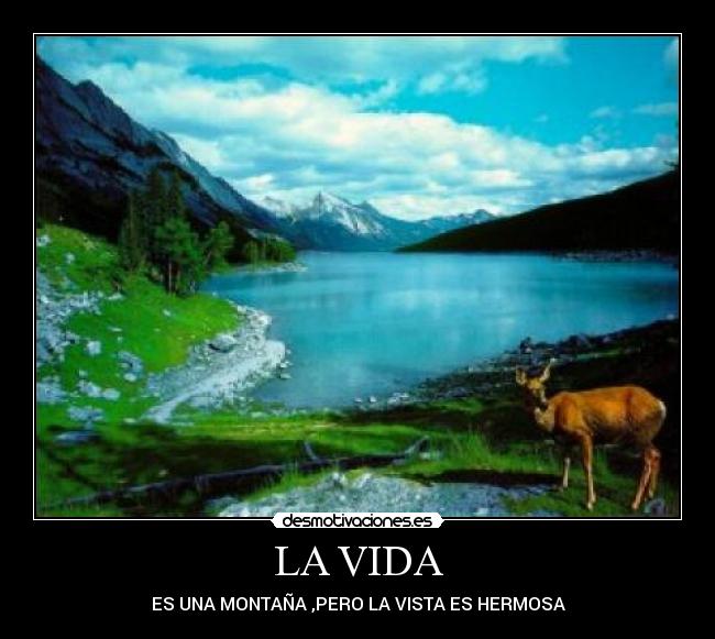 LA VIDA -