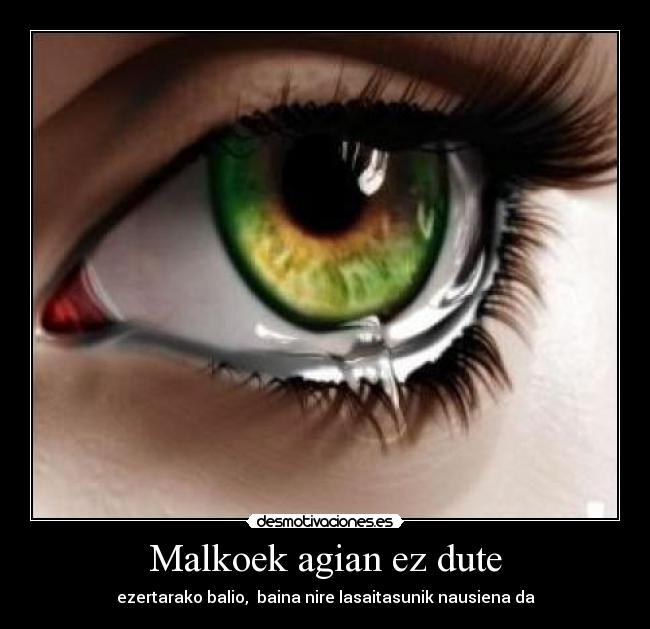 Malkoek agian ez dute -